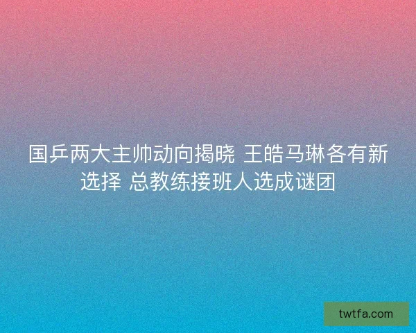 国乒两大主帅动向揭晓 王皓马琳各有新选择 总教练接班人选成谜团