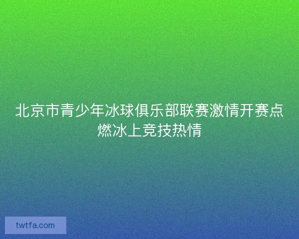 北京市青少年冰球俱乐部联赛激情开赛点燃冰上竞技热情 北京市青少年冰球俱乐部联赛激情开赛点燃冰上竞技热情